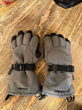 Cabelas Gore-Tex Ski Gloves Gray
